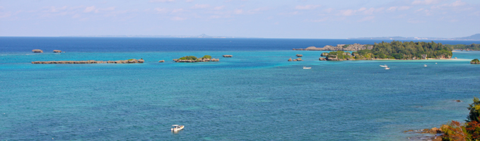 ssh-view