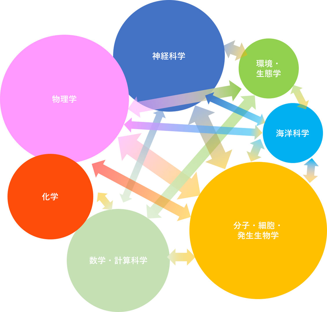 Illustration of the Relative Number of Research Collaborations between Units by Research Area